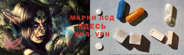 PSILOCYBIN Алзамай