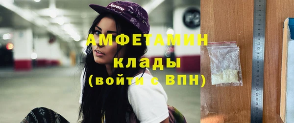 PSILOCYBIN Алзамай
