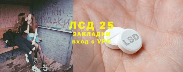 PSILOCYBIN Алзамай