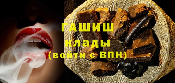 PSILOCYBIN Алзамай