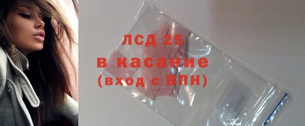 PSILOCYBIN Алзамай