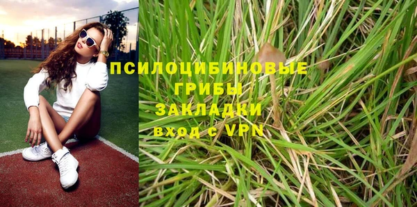 PSILOCYBIN Алзамай